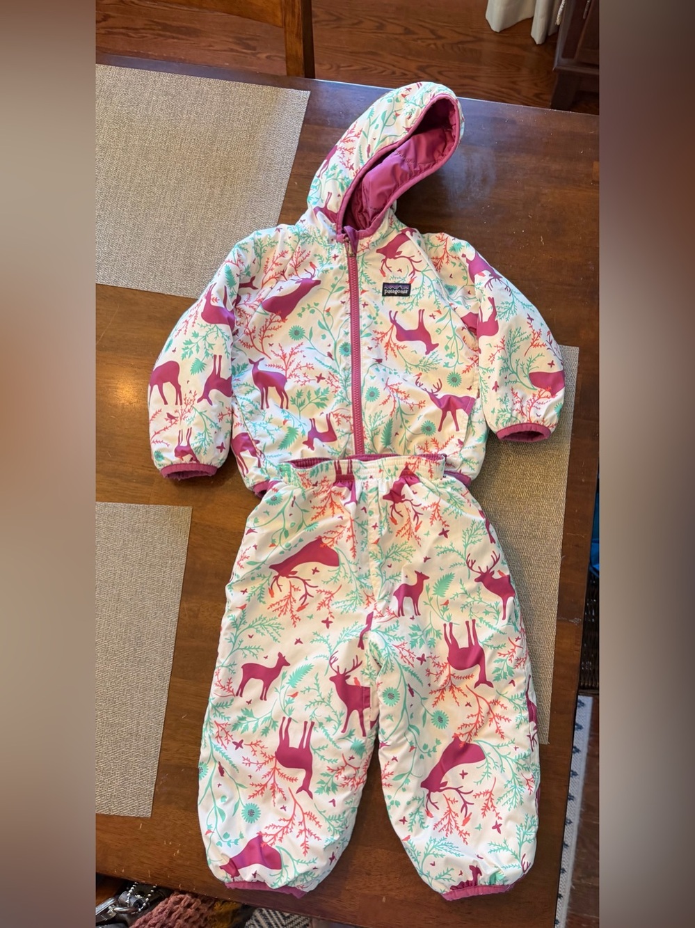 Baby Patagonia snow‎ pants and jacket.  Winter